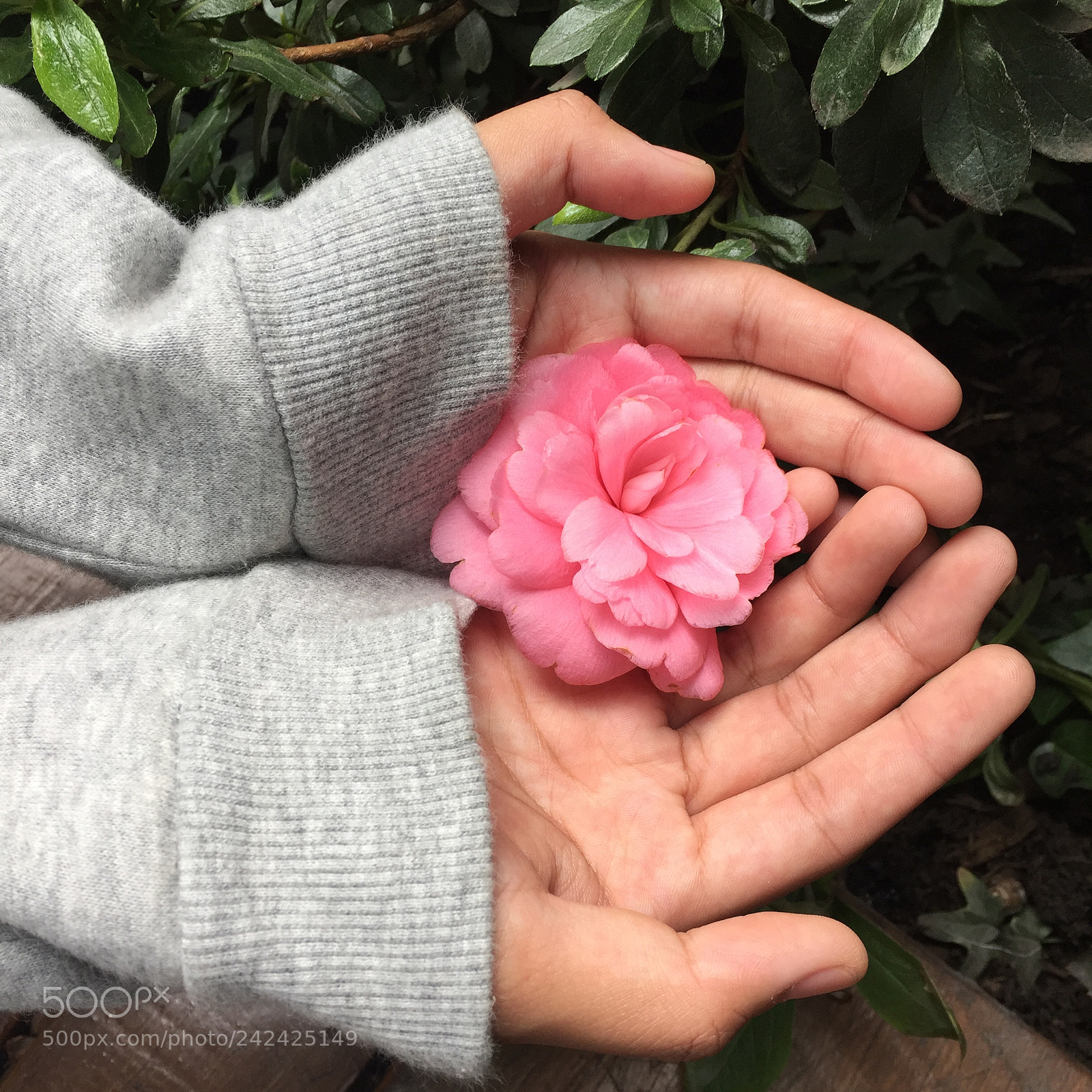 Apple iPhone 6 sample photo. 09) gardens by the bay photography