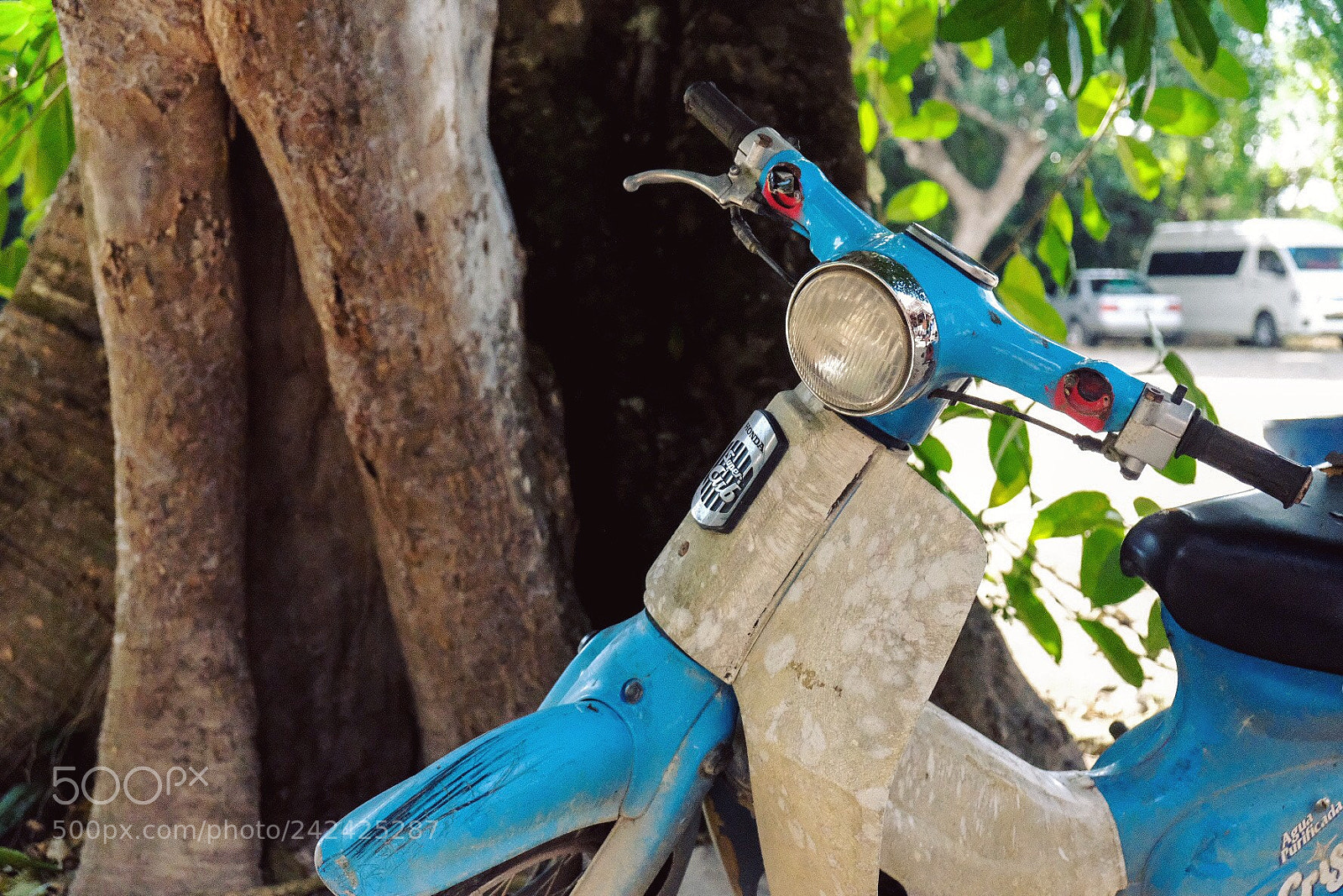 Fujifilm X-T20 sample photo. Untitled photography