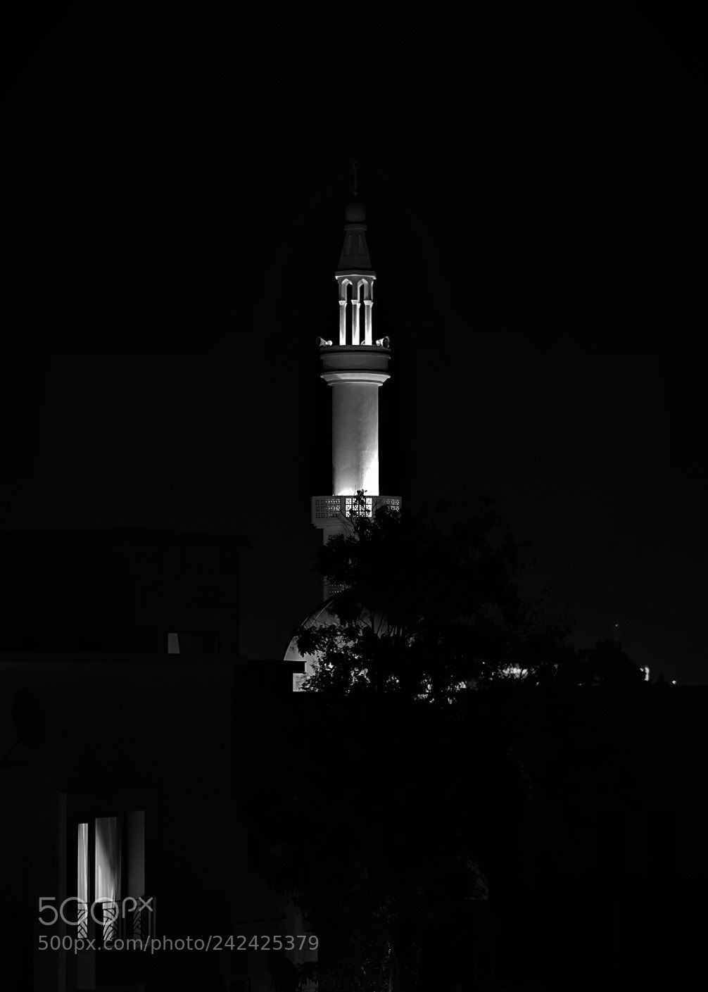 Fujifilm X-E1 sample photo. In the shadow of photography