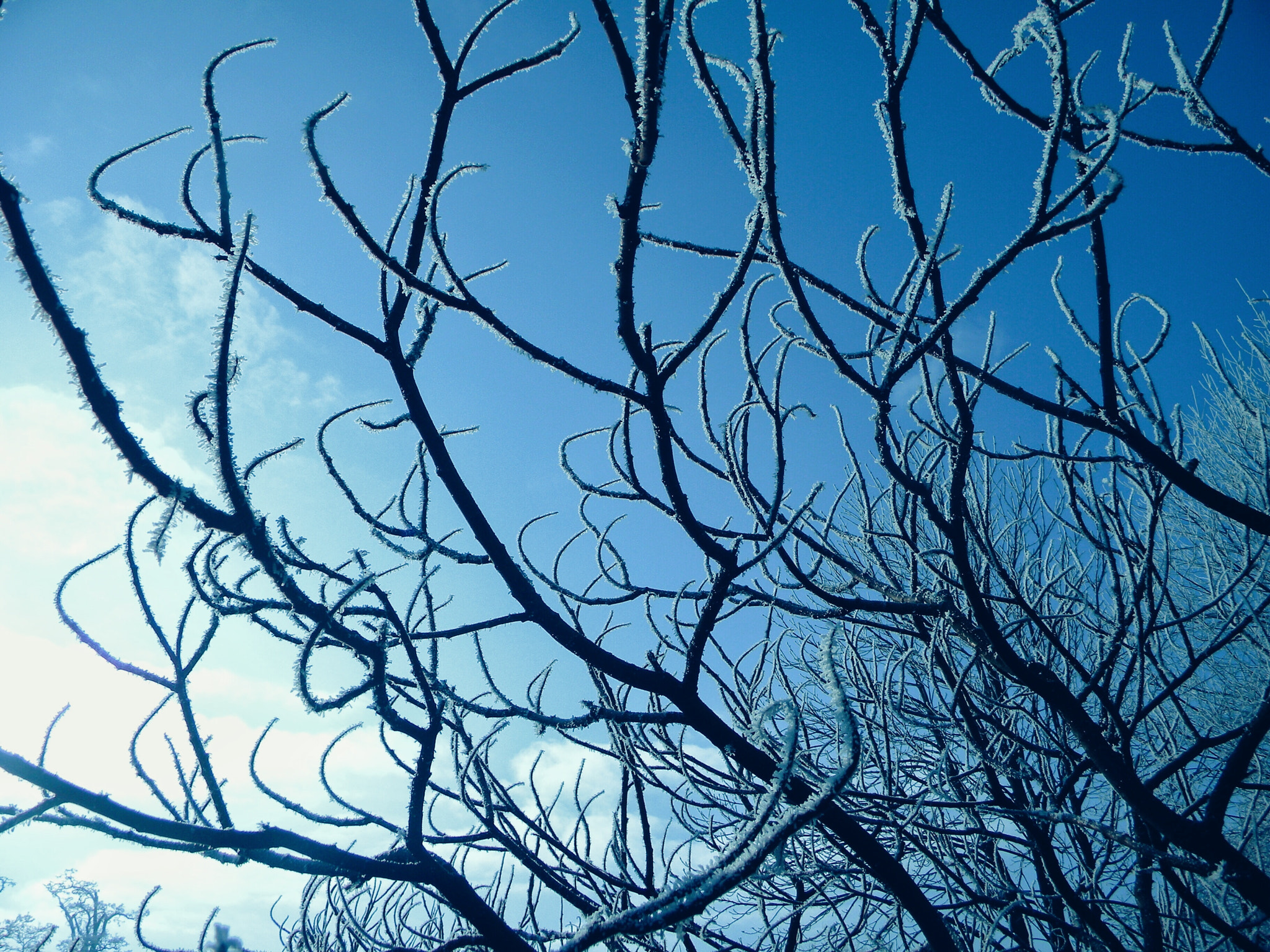 Nikon Coolpix L100 sample photo. Zima12 photography