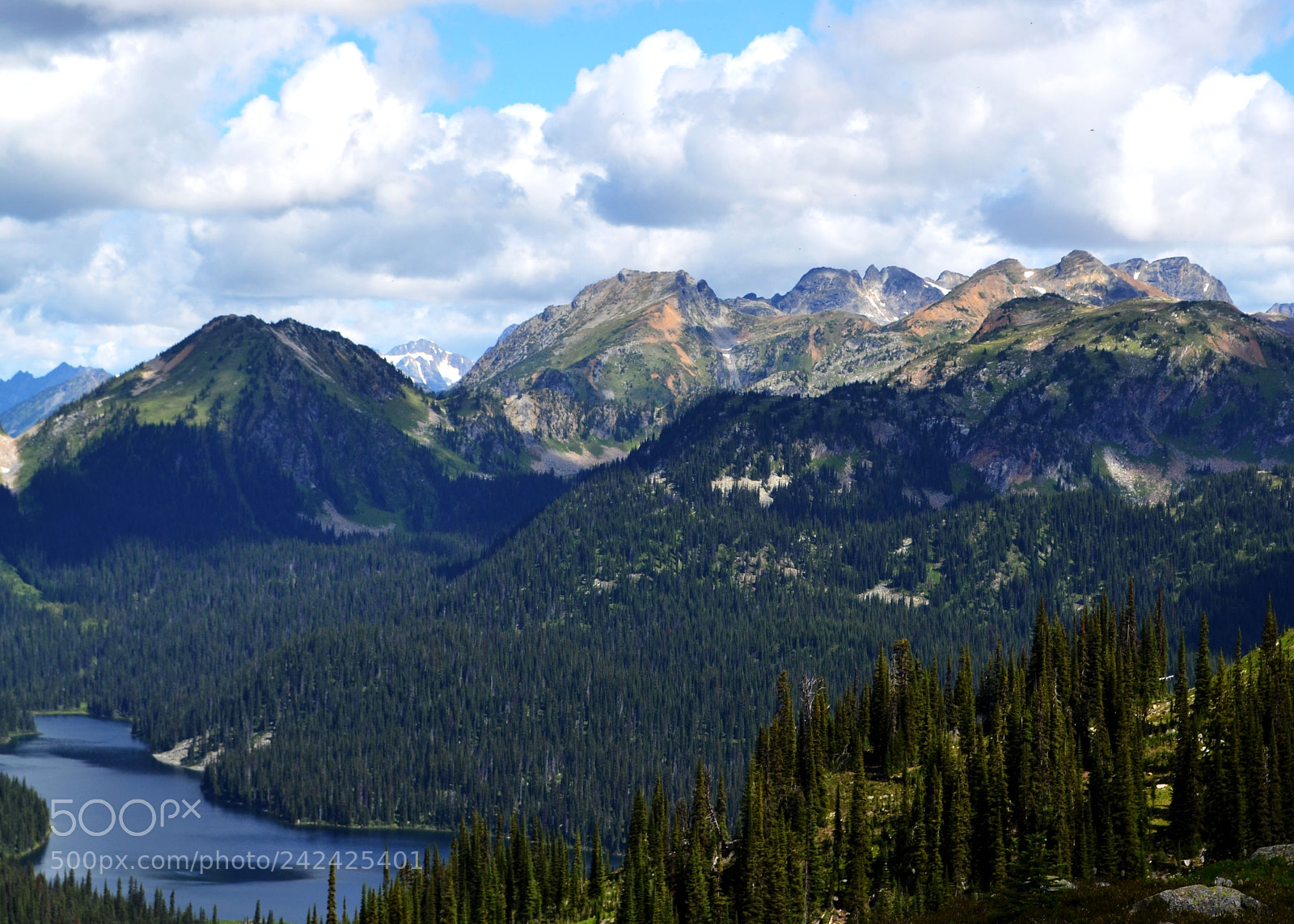Nikon D3100 sample photo. Uncovering layers of a photography