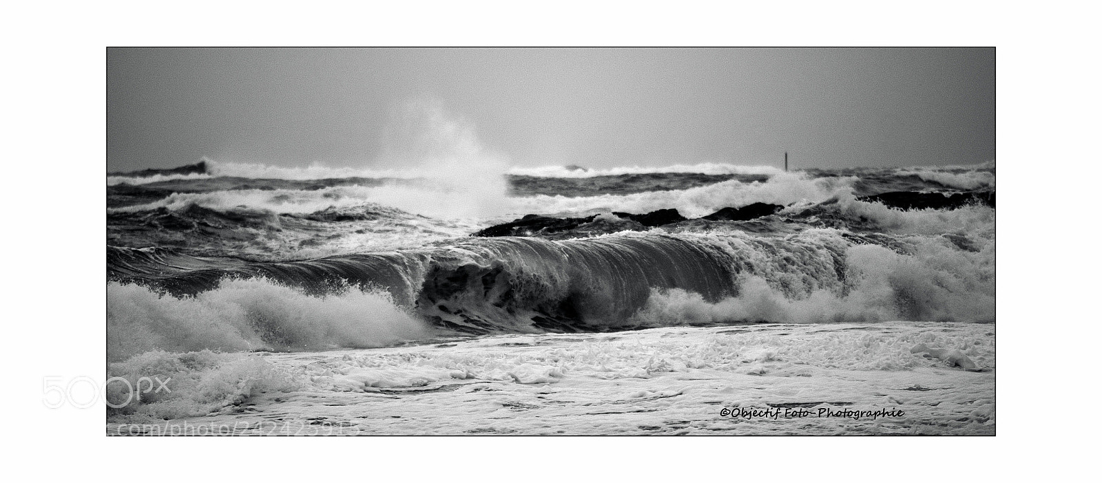 Nikon D300 sample photo. Agitation photography