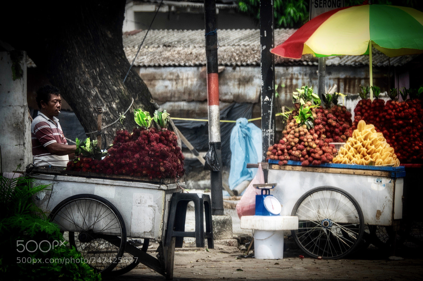 Panasonic Lumix DMC-GX8 sample photo. Untitled photography