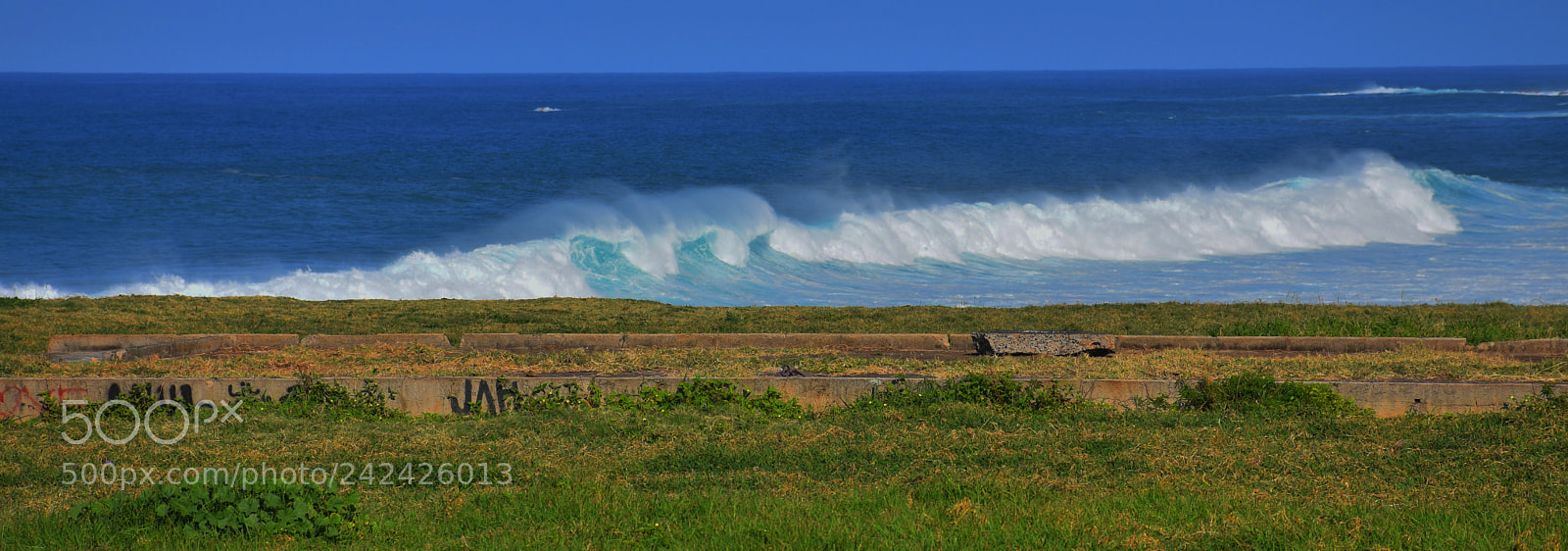 Nikon D7200 sample photo. Jah wave photography