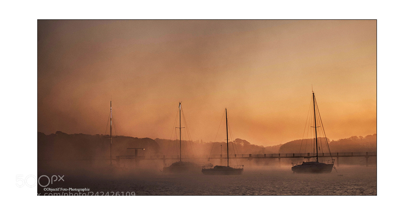 Nikon D300 sample photo. Dans la brume photography