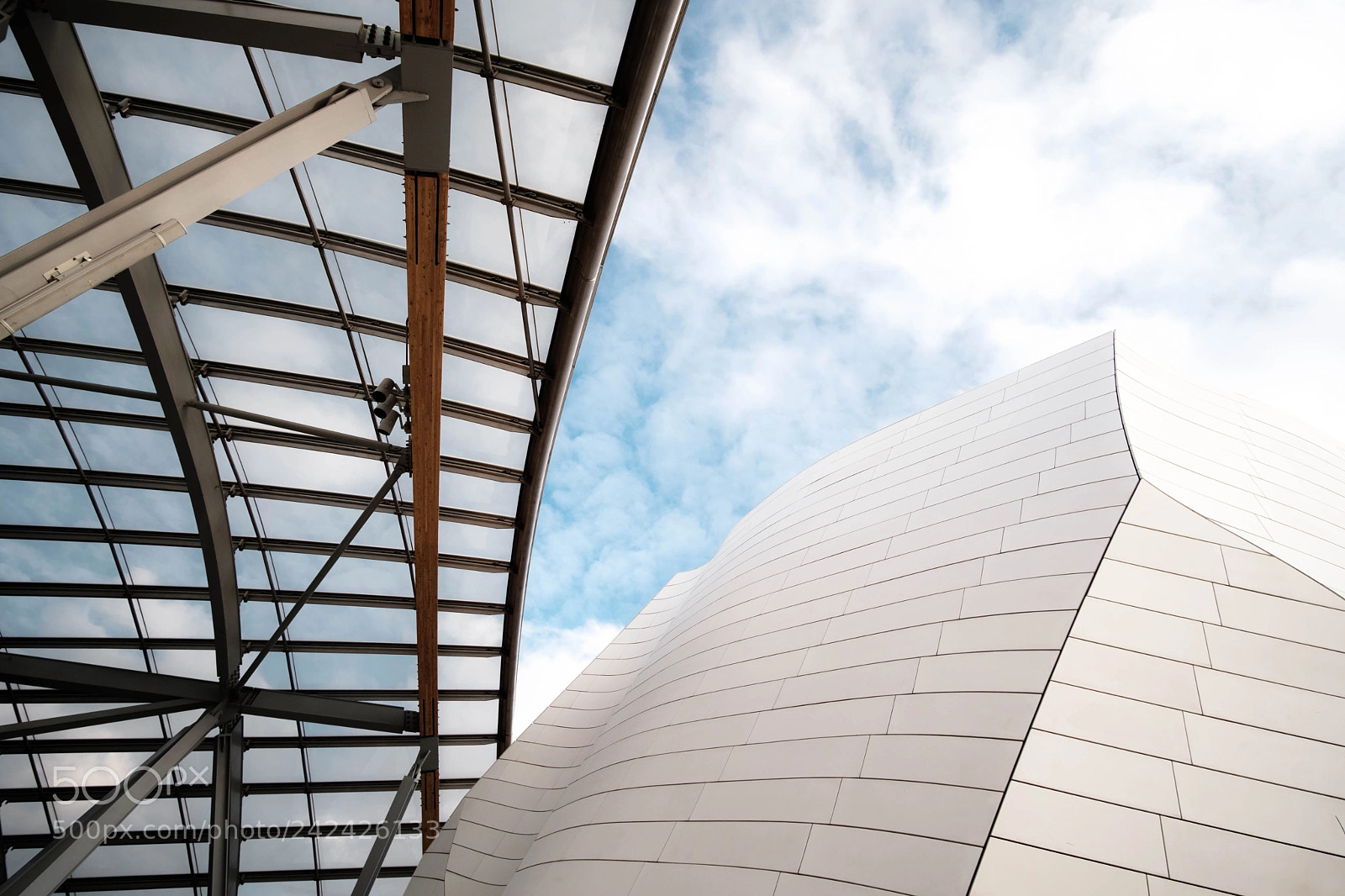 Fujifilm X-T20 sample photo. Fondation vuitton photography