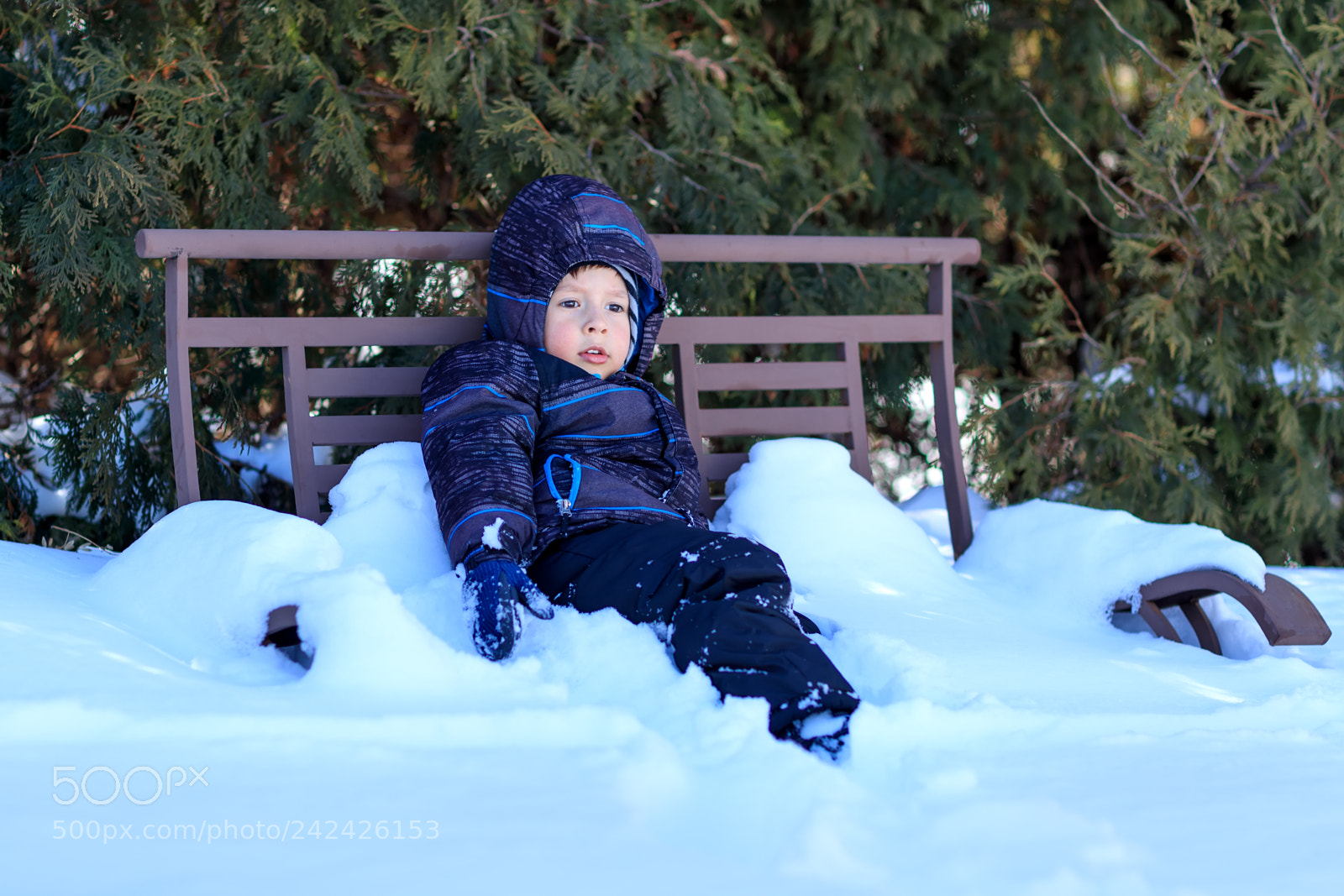 Canon EOS-1D X Mark II sample photo. Little boy dreams outdoors photography