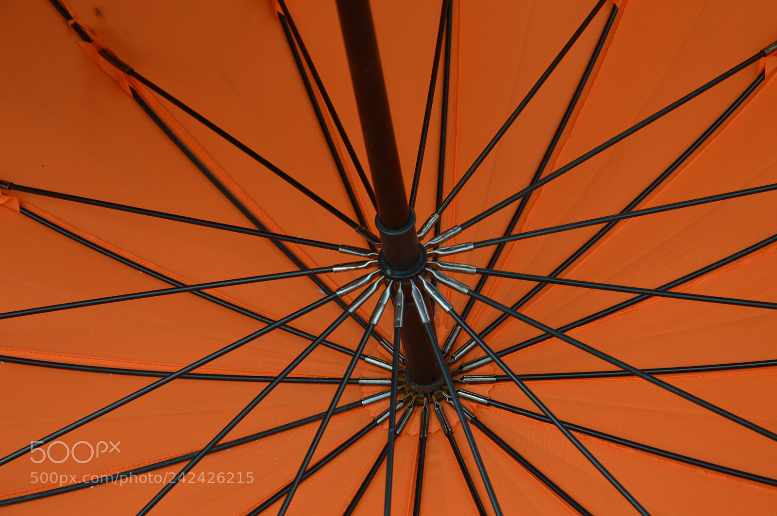 Nikon D3200 sample photo. Geometrie photography