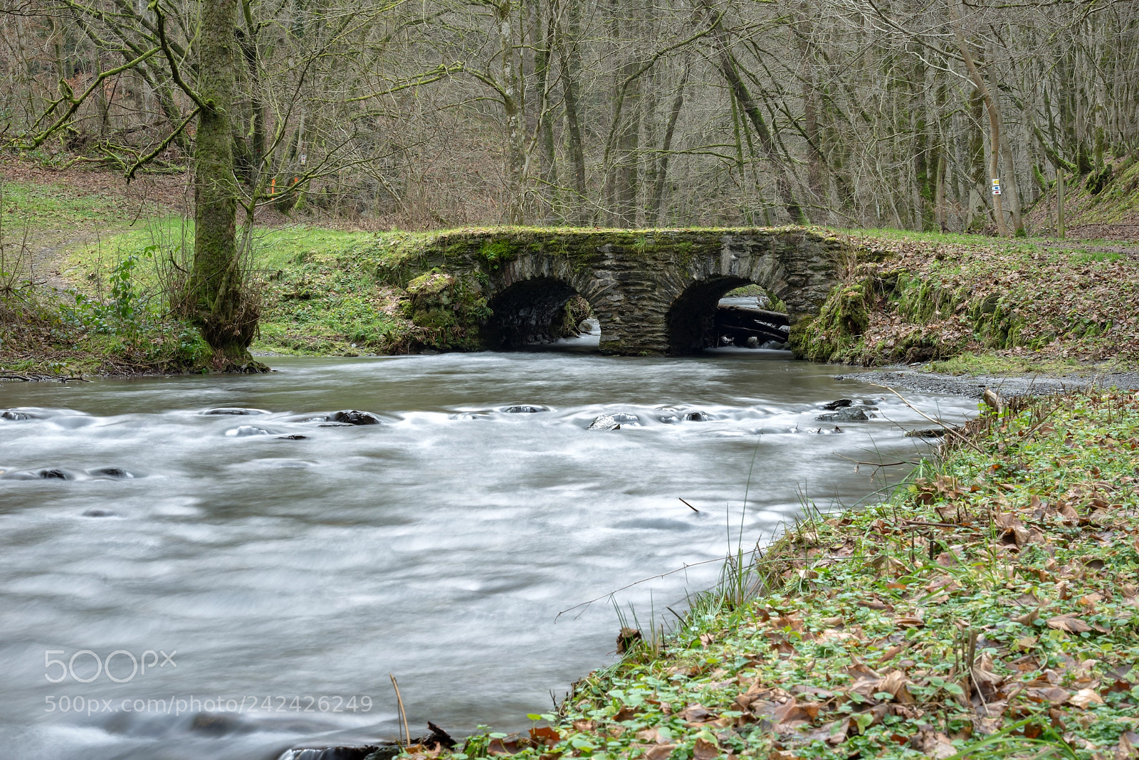 Nikon D600 sample photo. The cerivaux bridge photography