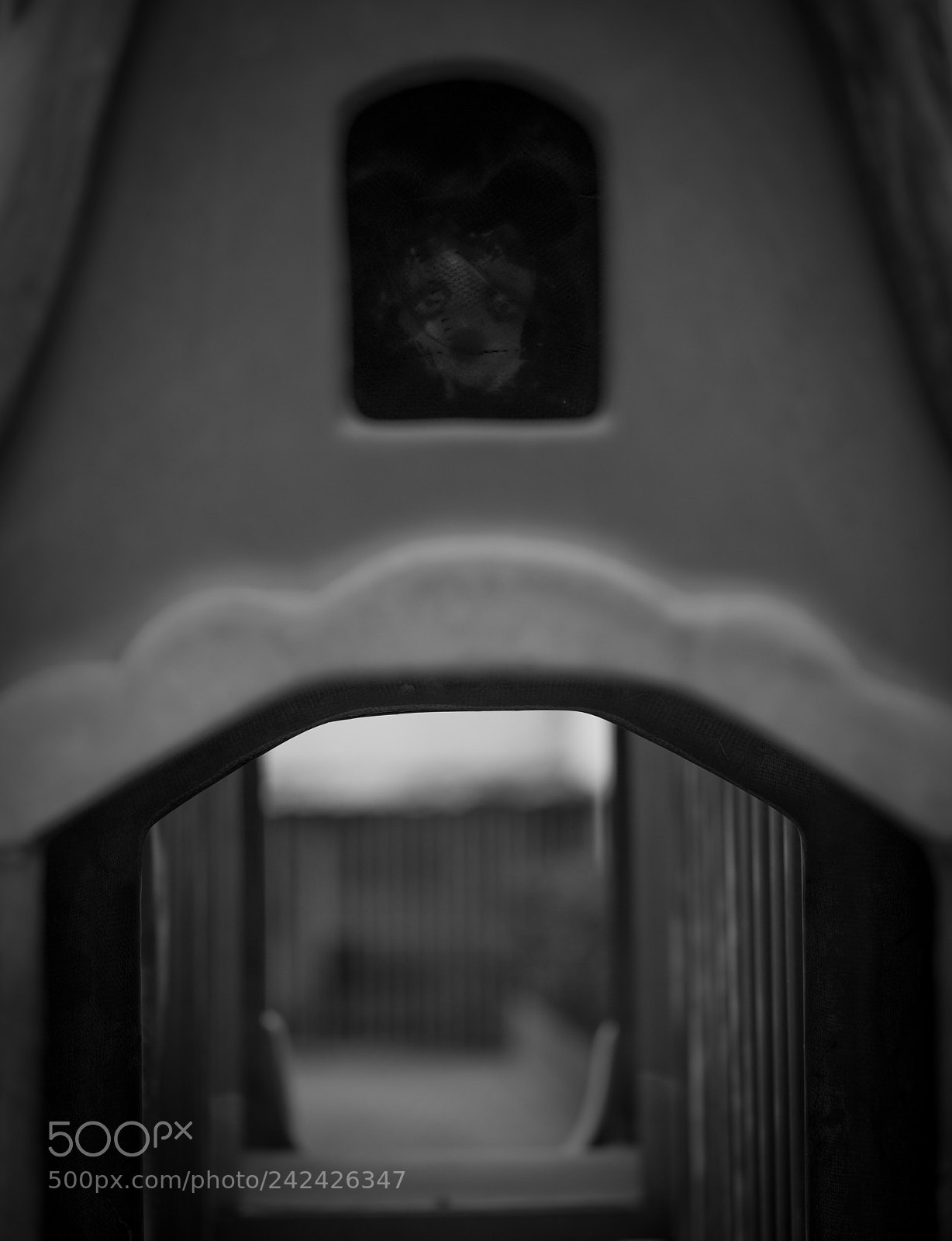 Hasselblad X1D-50c sample photo. Untitled photography