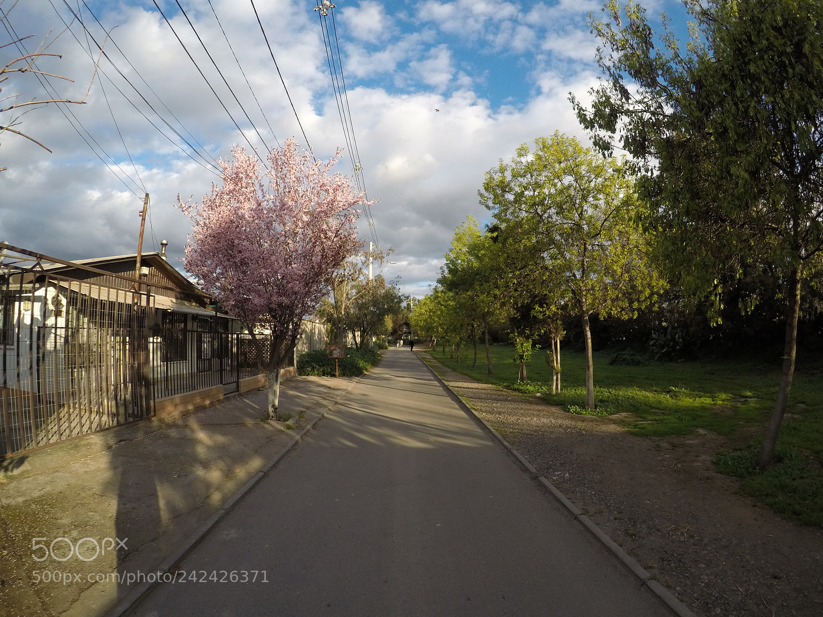 GoPro Hero5 Black sample photo. Follow me <3 photography