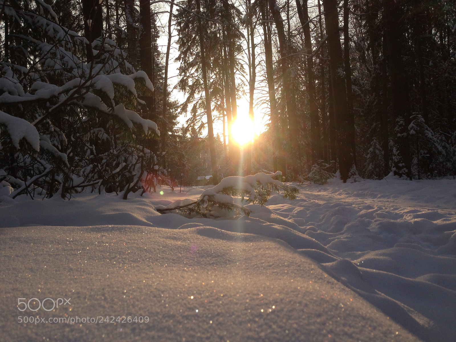 Apple iPhone 5 sample photo. Winter photography