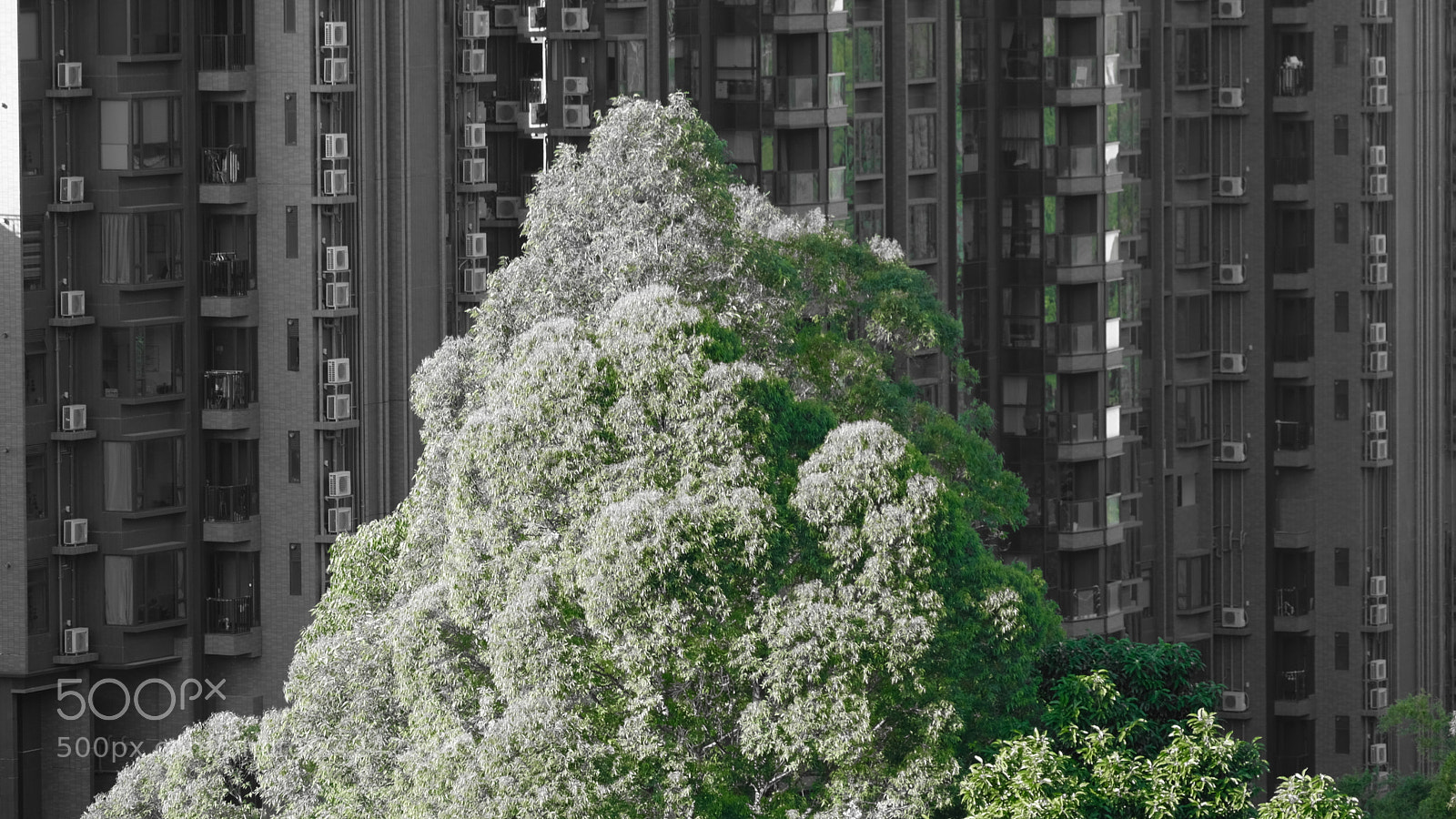 Fujifilm X-T20 sample photo. 24811324647.jpg photography
