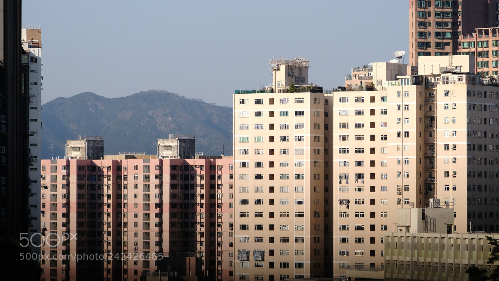 Fujifilm X-T20 sample photo. 24811326907.jpg photography
