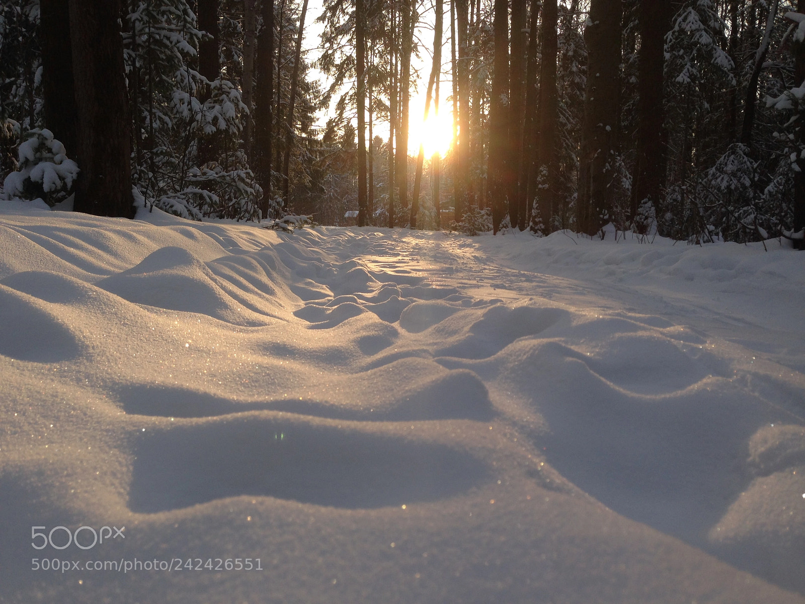 Apple iPhone 5 sample photo. Winter photography