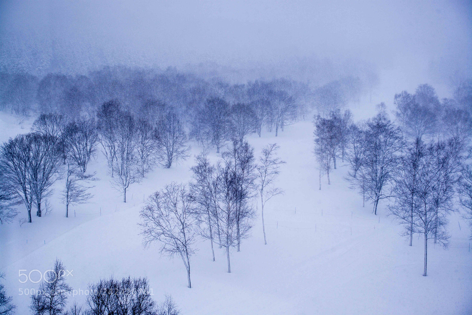 Leica M (Typ 240) sample photo. Winter in niseko photography