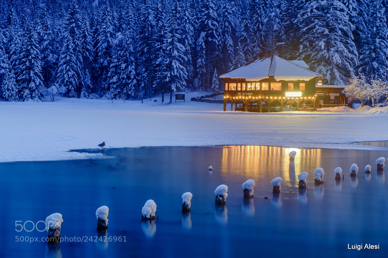 Fujifilm X-M1 sample photo. Lago di dobbiaco photography
