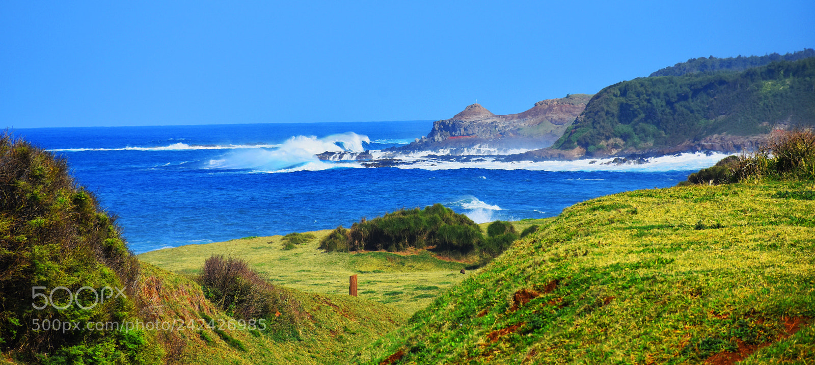 Nikon D7200 sample photo. Looking at maliko photography