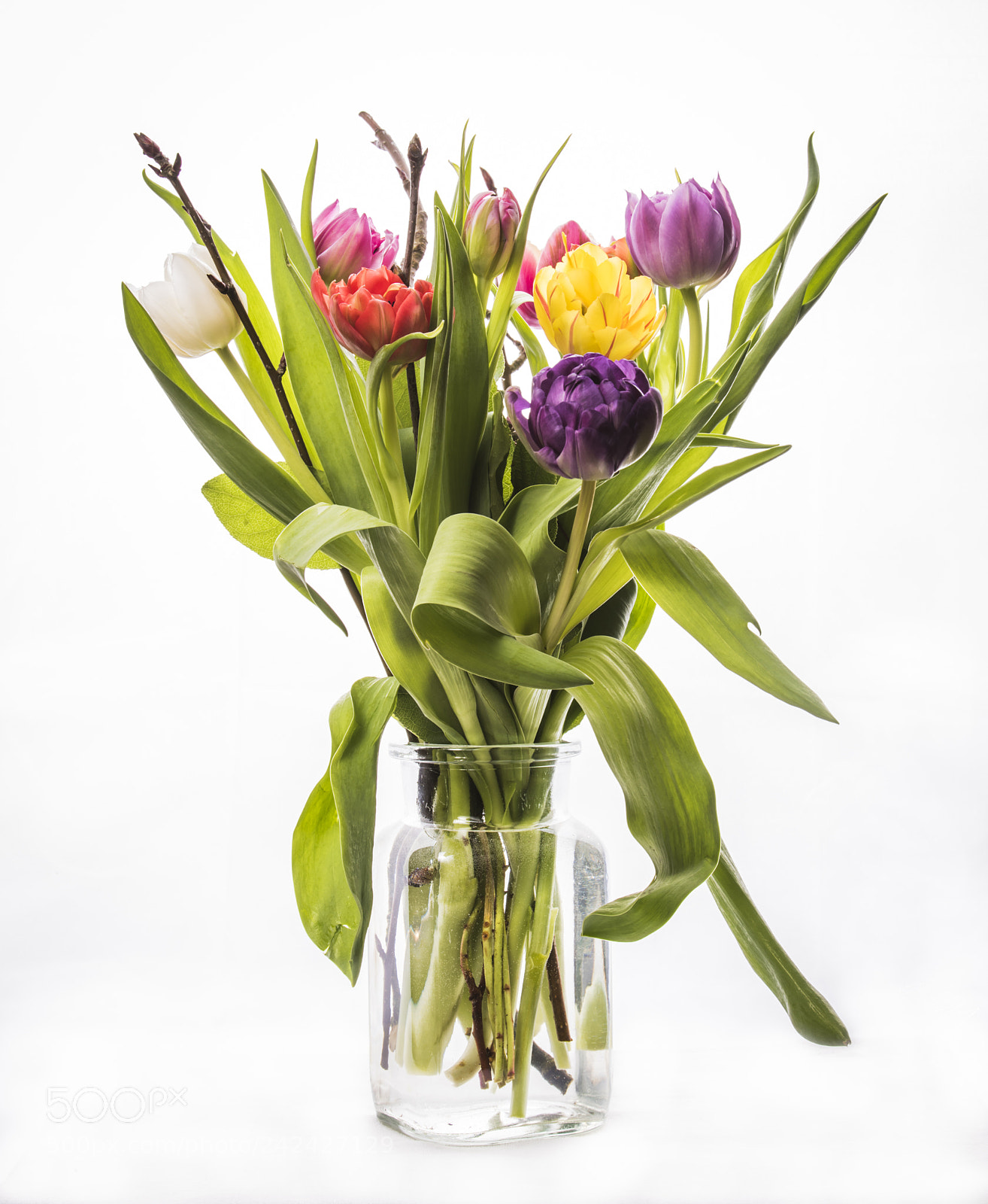 Nikon D810 sample photo. Jar of flowers photography