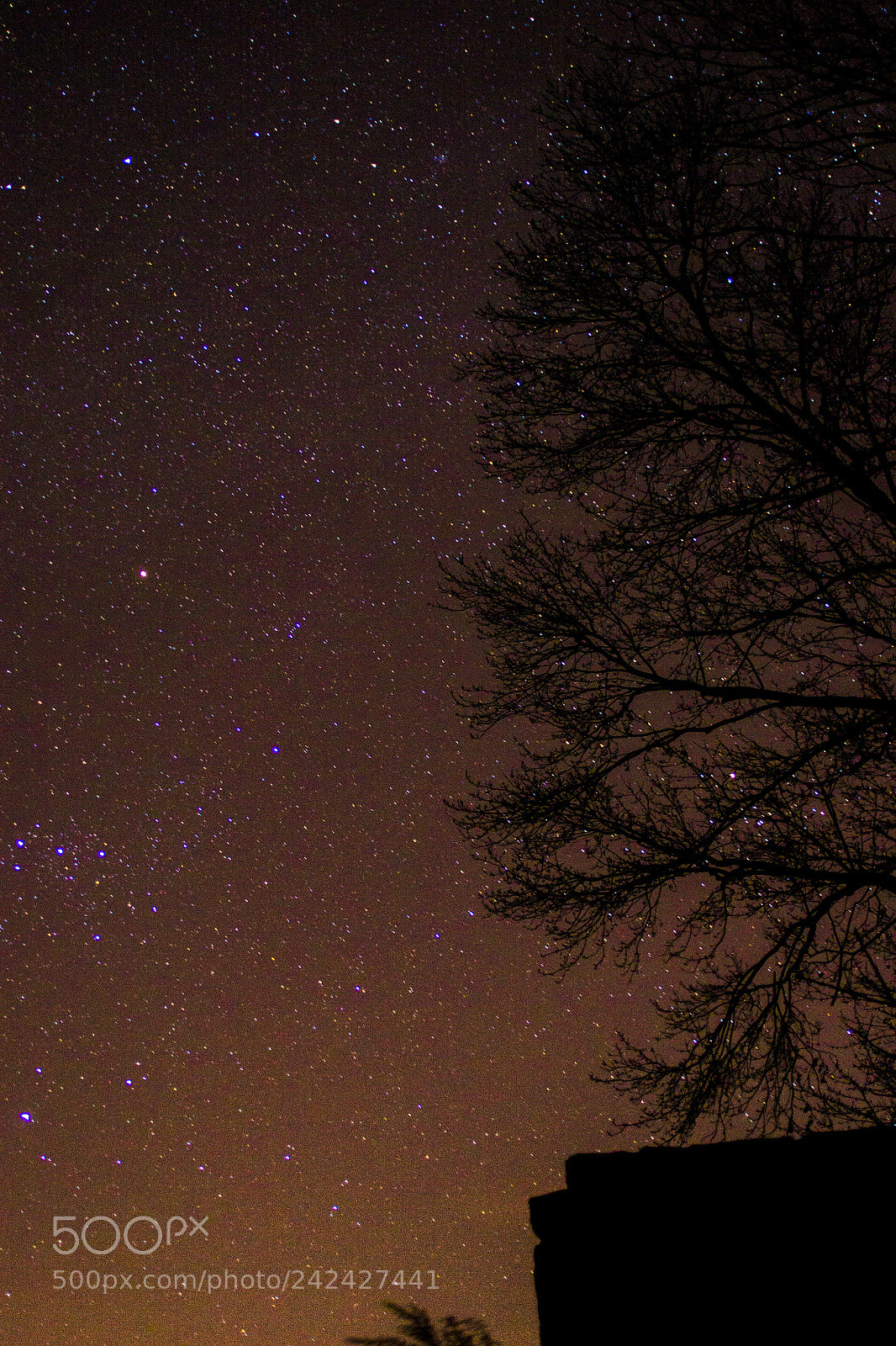 Nikon D3100 sample photo. Night photography