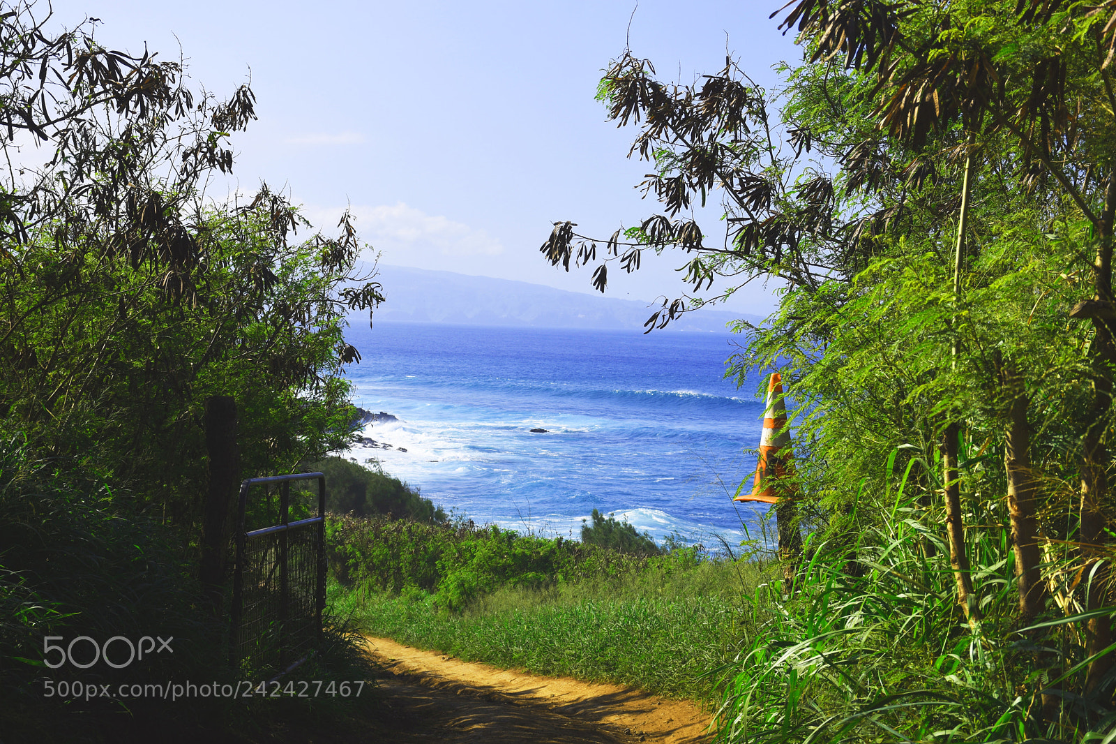 Nikon D7200 sample photo. Maliko rd photography