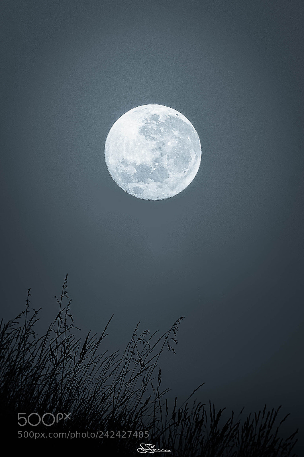 Nikon D7200 sample photo. Setting moon photography