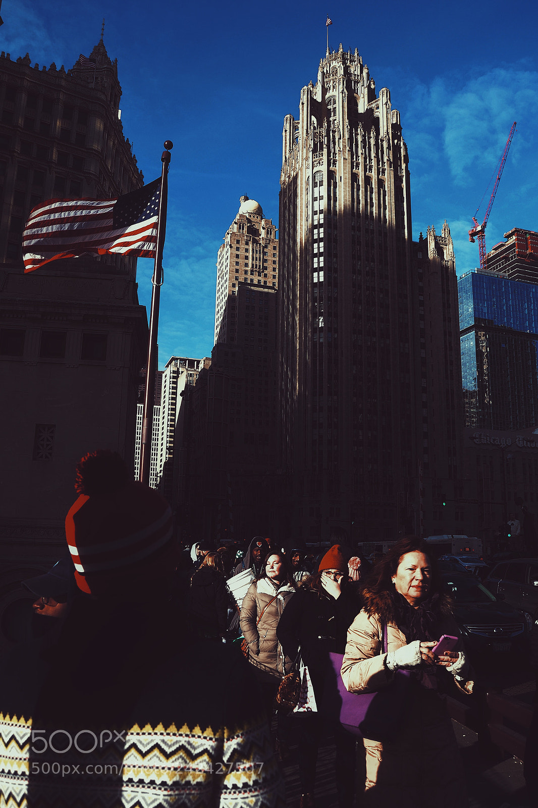 Nikon D3100 sample photo. Bold photography