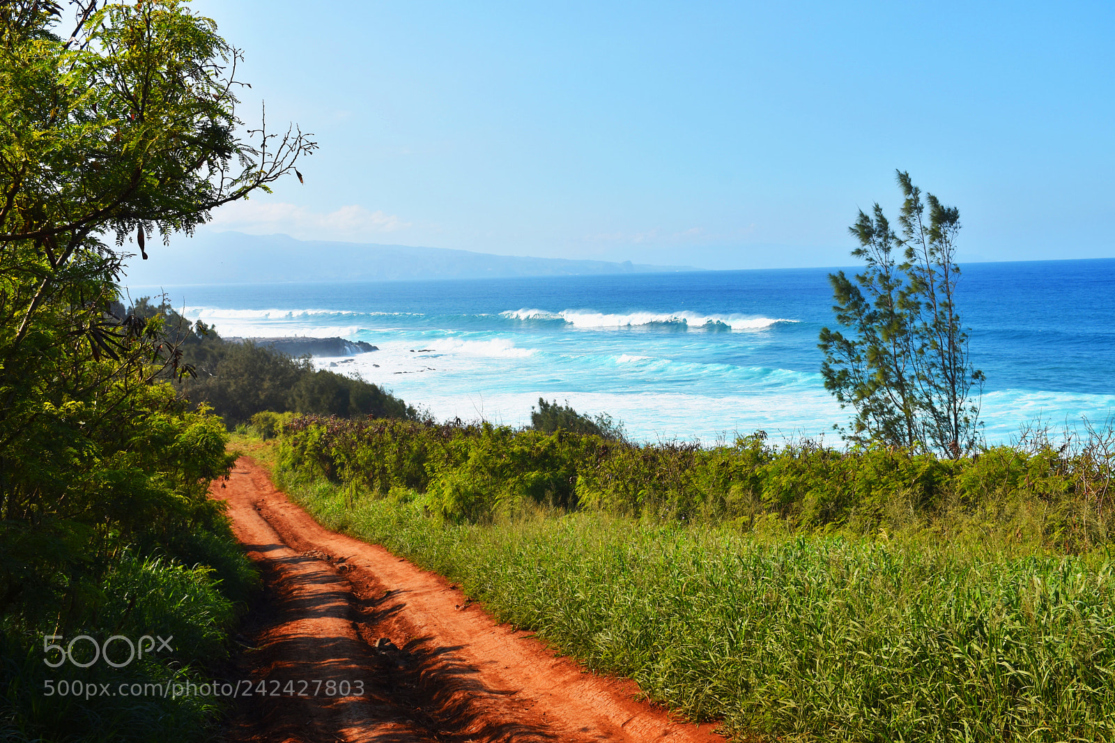 Nikon D7200 sample photo. Maliko rd photography