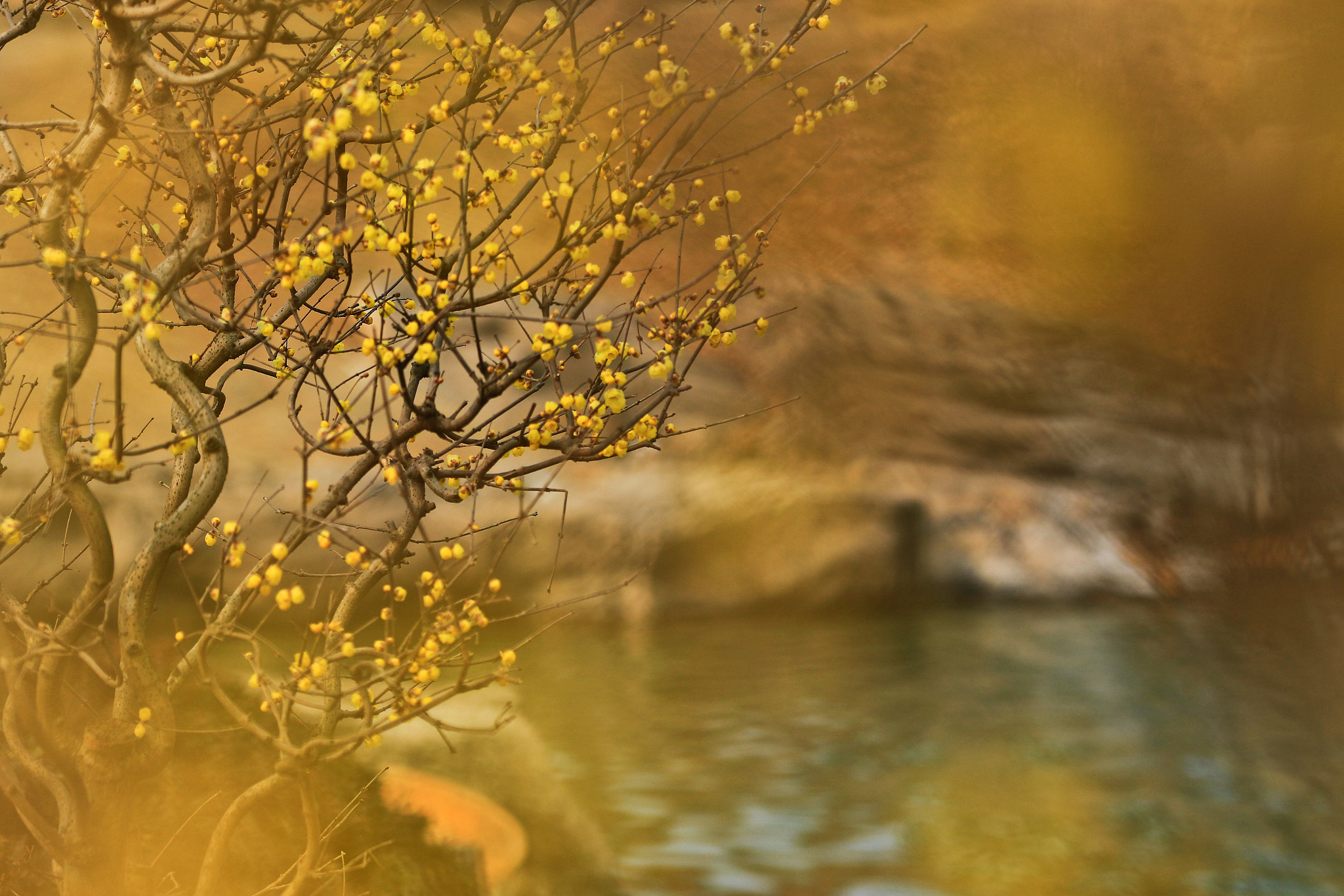 Canon EOS 7D Mark II sample photo