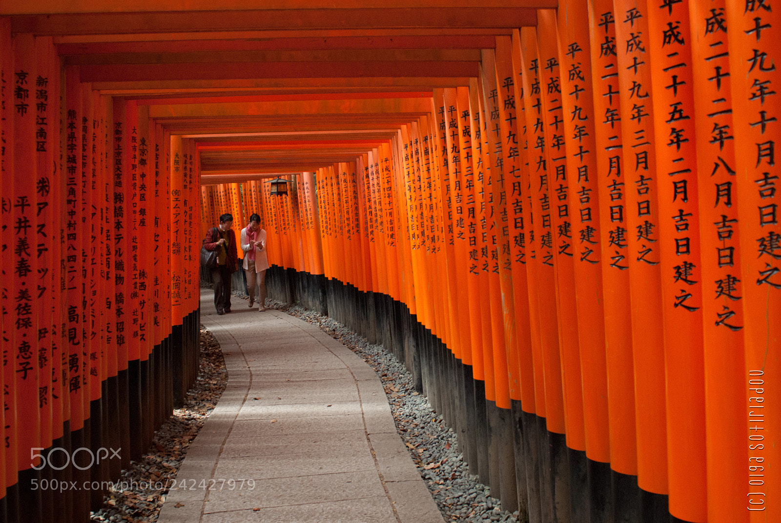 Nikon D200 sample photo. Walking through fushimi inari photography