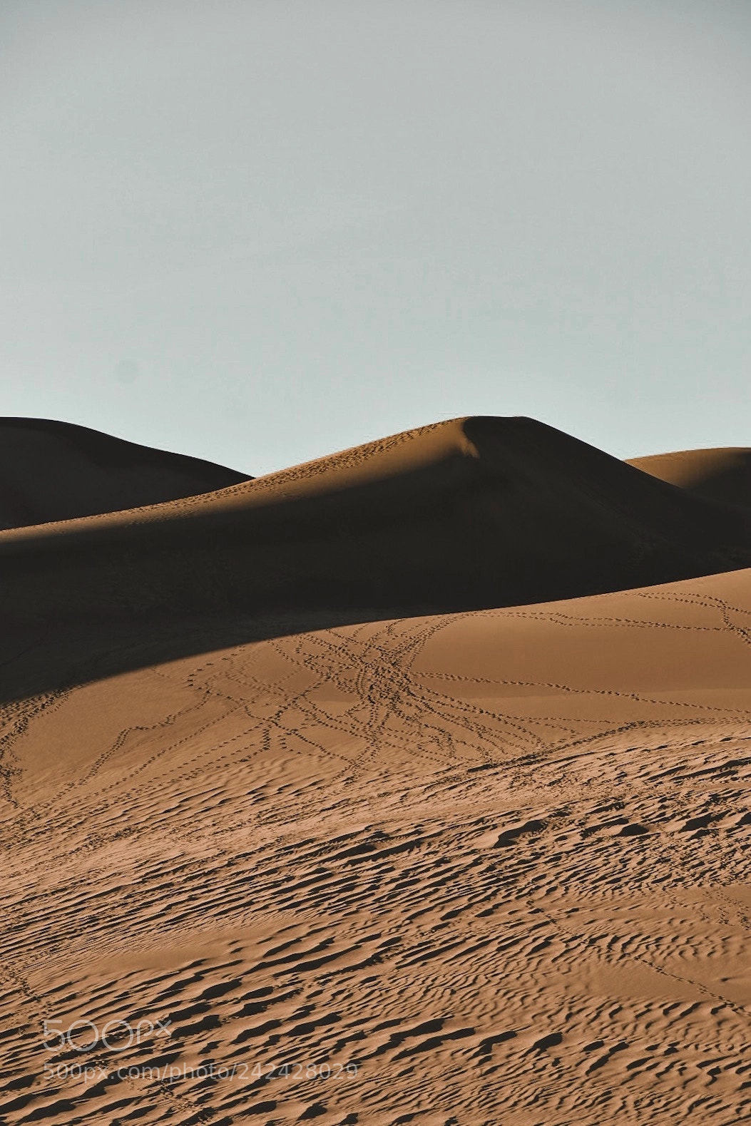 Nikon D3400 sample photo. Great sand dunes ntl photography