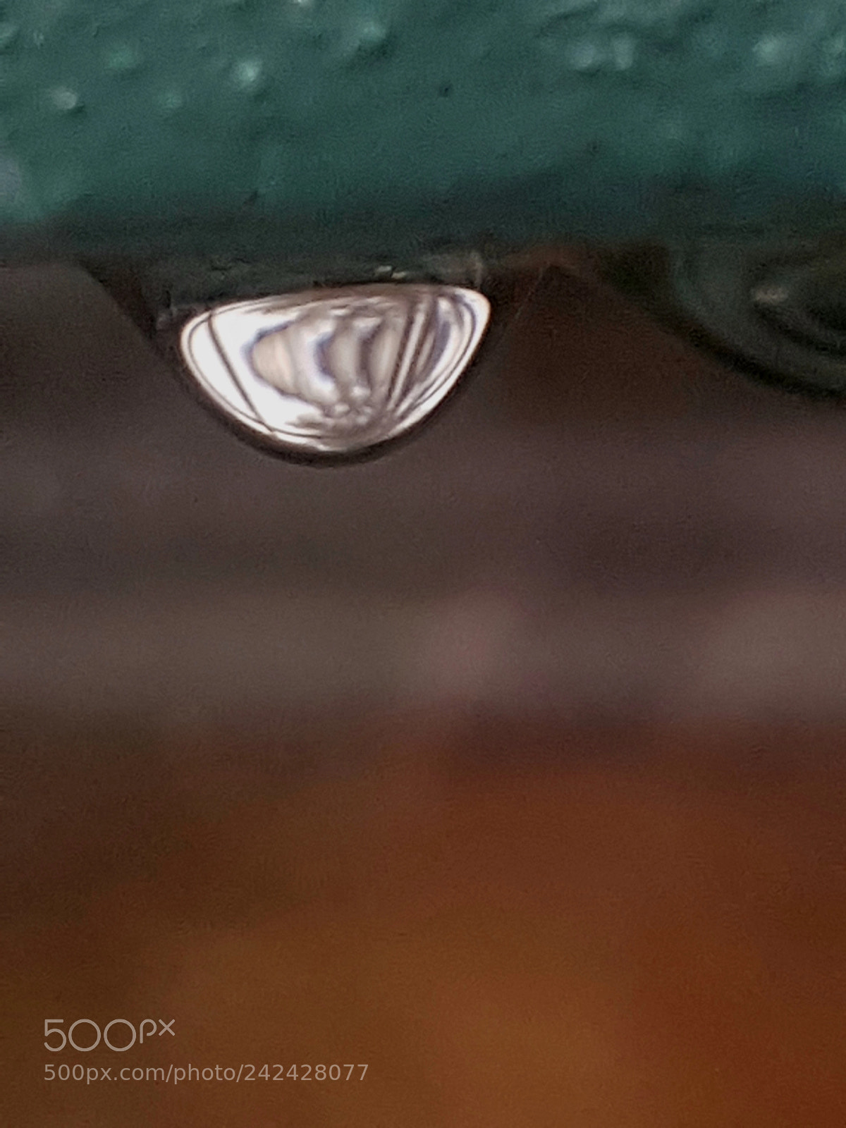 Samsung Galaxy S7 Edge sample photo. Untitled photography