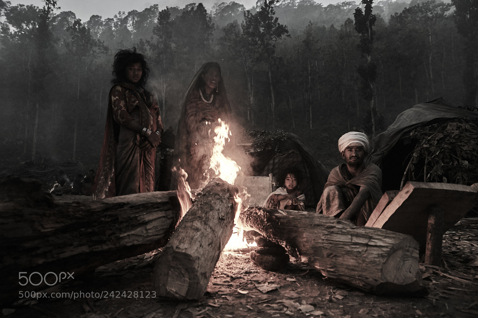 Canon EOS-1D X sample photo. The himalayan kings of photography