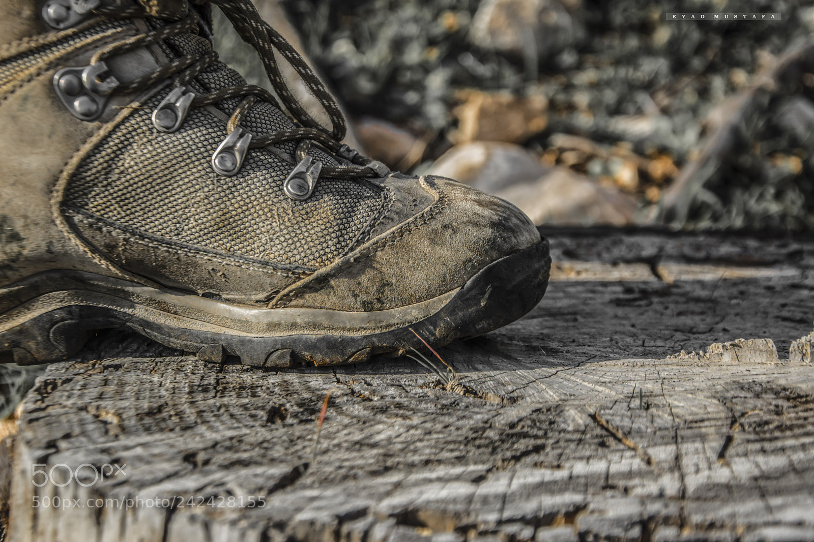 Nikon D7100 sample photo. Against nature .. destruction photography