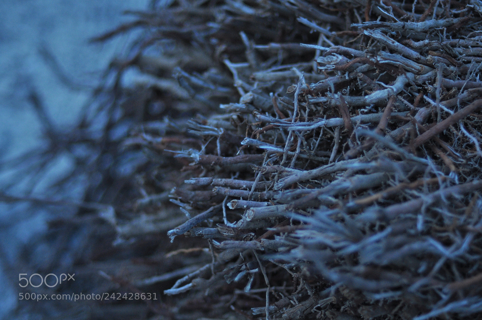 Nikon D90 sample photo. Sticks photography