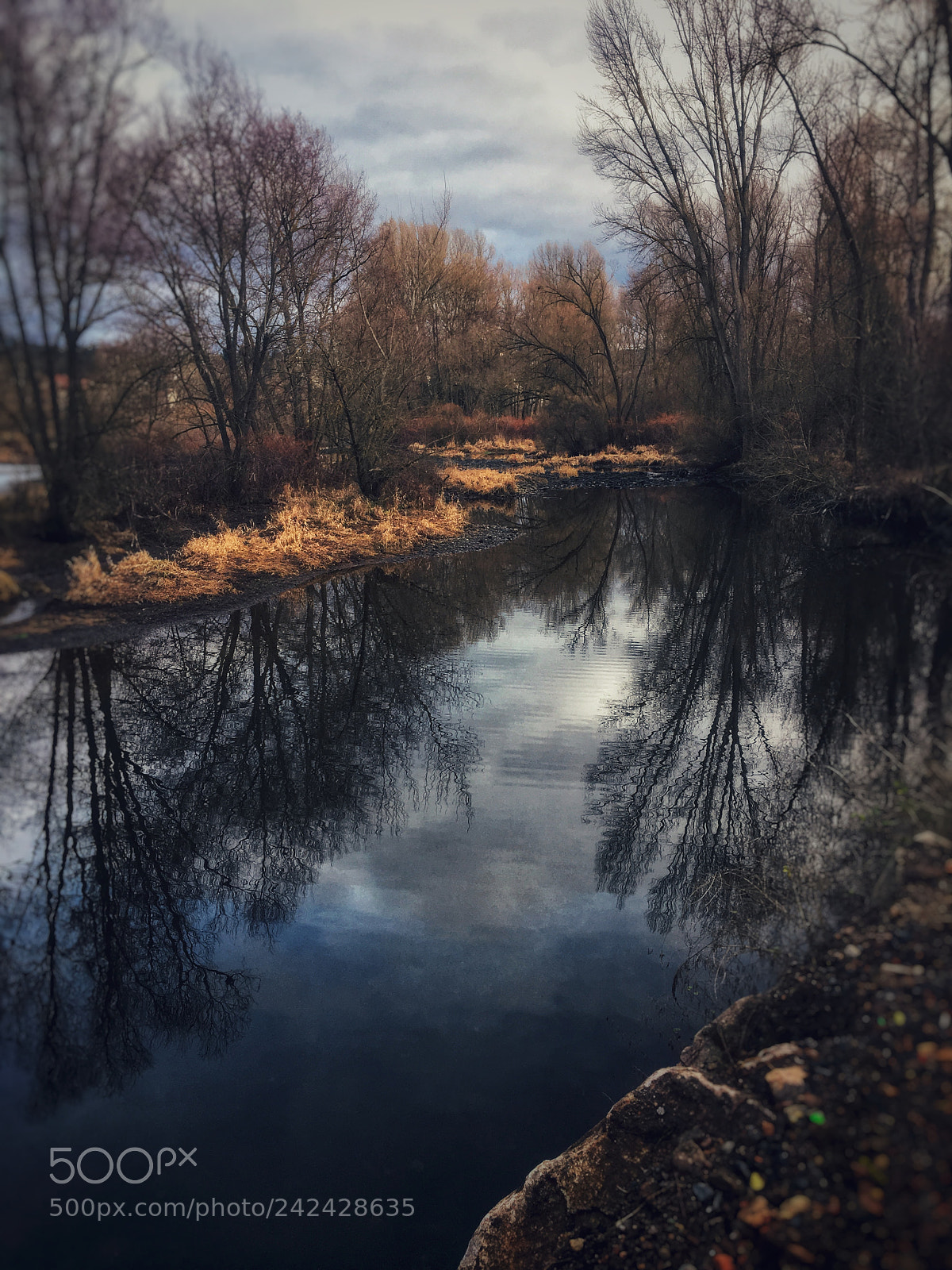 Apple iPhone 6s sample photo. Untitled photography