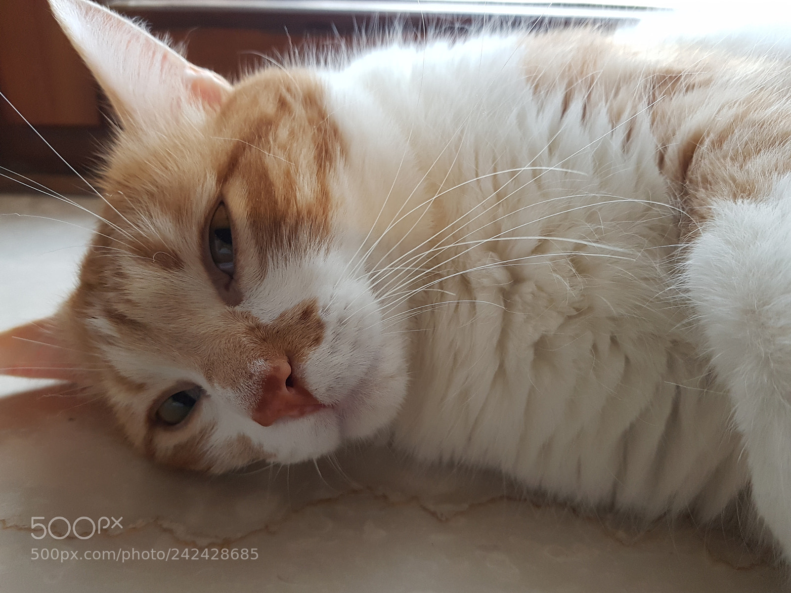Samsung Galaxy S7 sample photo. Untitled photography