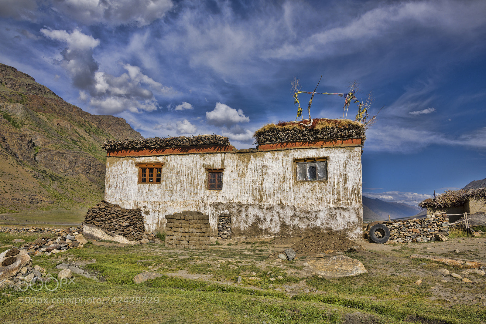 Nikon D810 sample photo. Ladakhi traditional house on photography