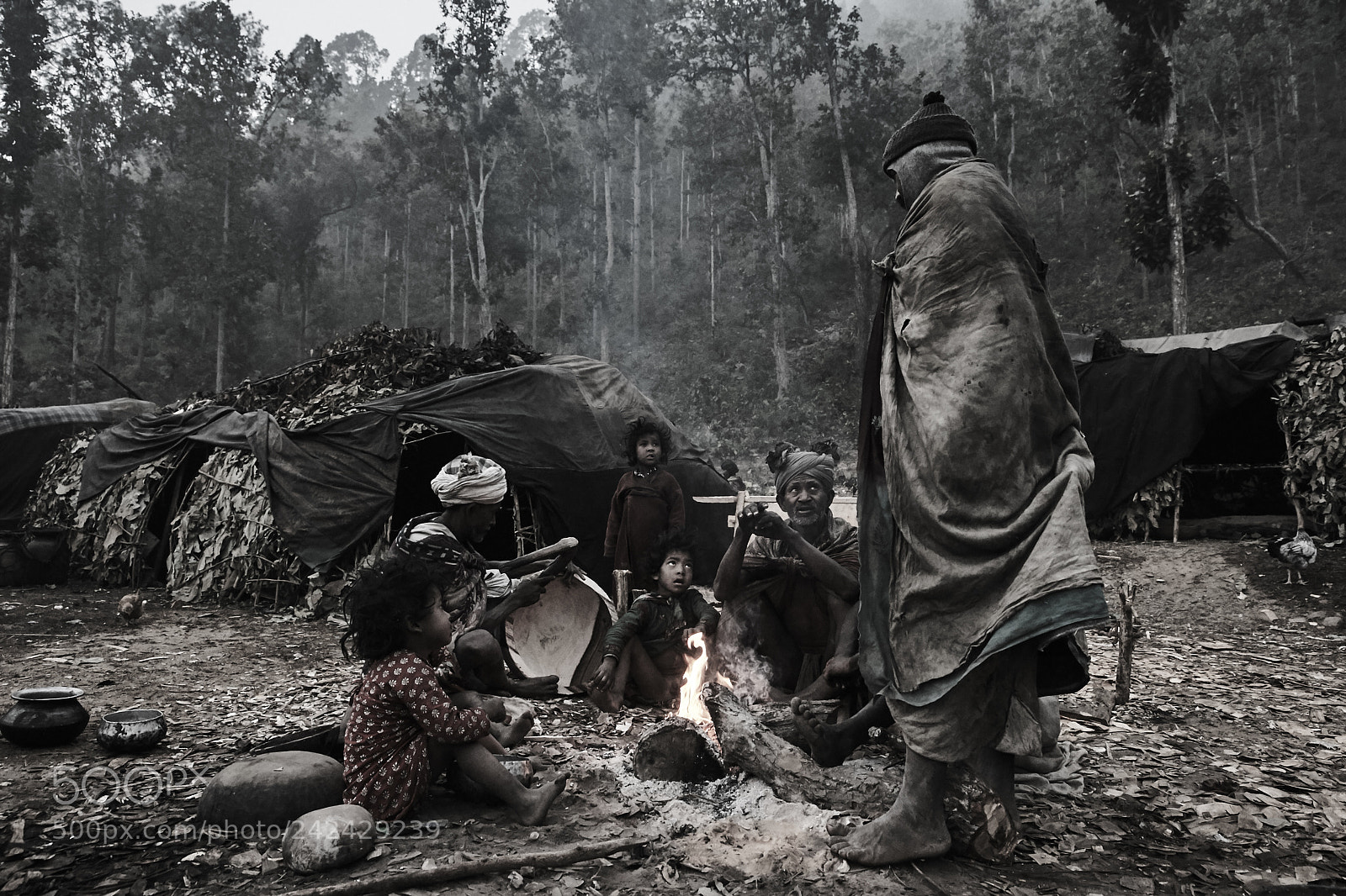 Canon EOS-1D X sample photo. The himalayan kings of photography