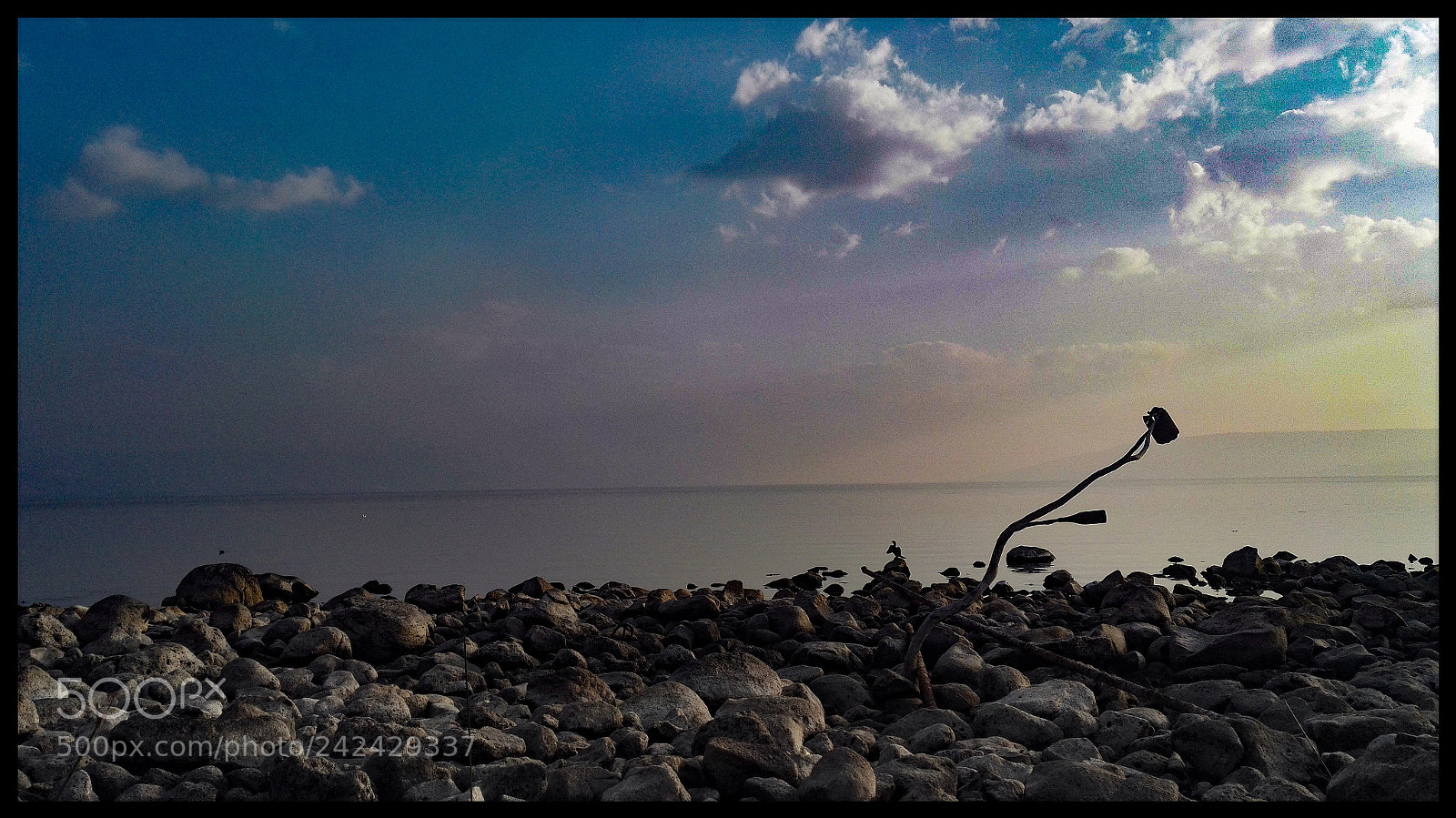 HUAWEI Honor 7 sample photo. Untitled photography