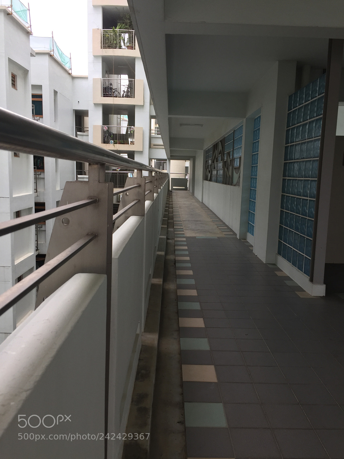 Apple iPhone 6 sample photo. Untitled photography
