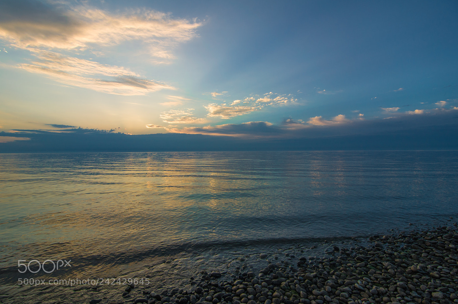 Nikon D90 sample photo. Dsc photography