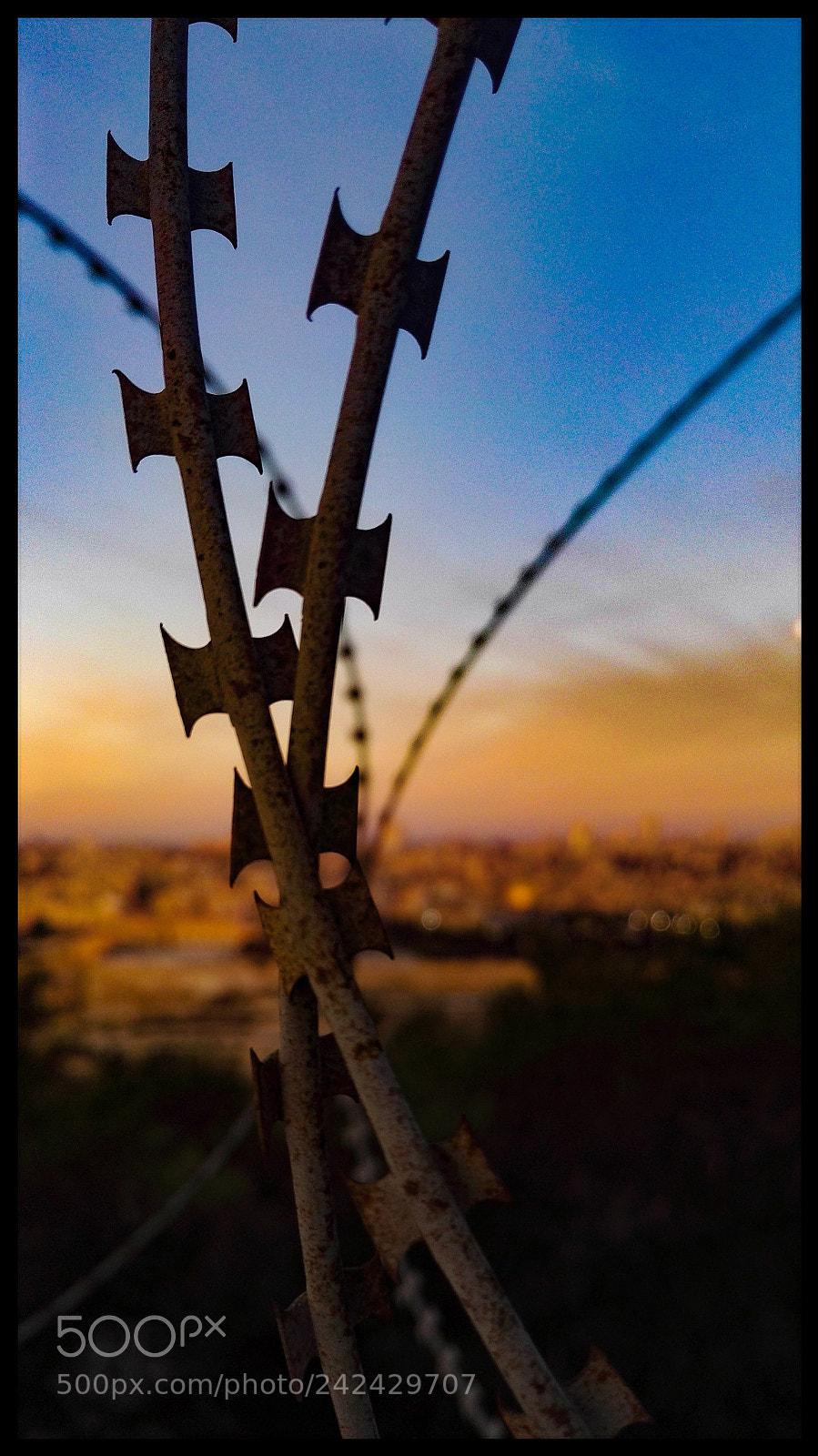 HUAWEI Honor 7 sample photo. Untitled photography