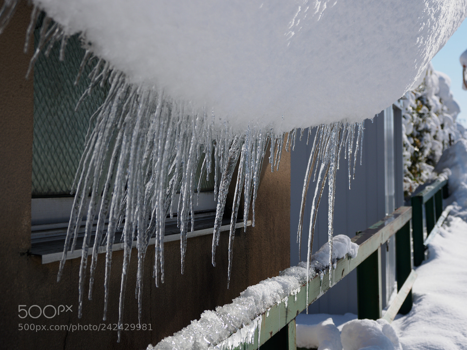 Olympus OM-D E-M10 II sample photo. Icicles from snow photography