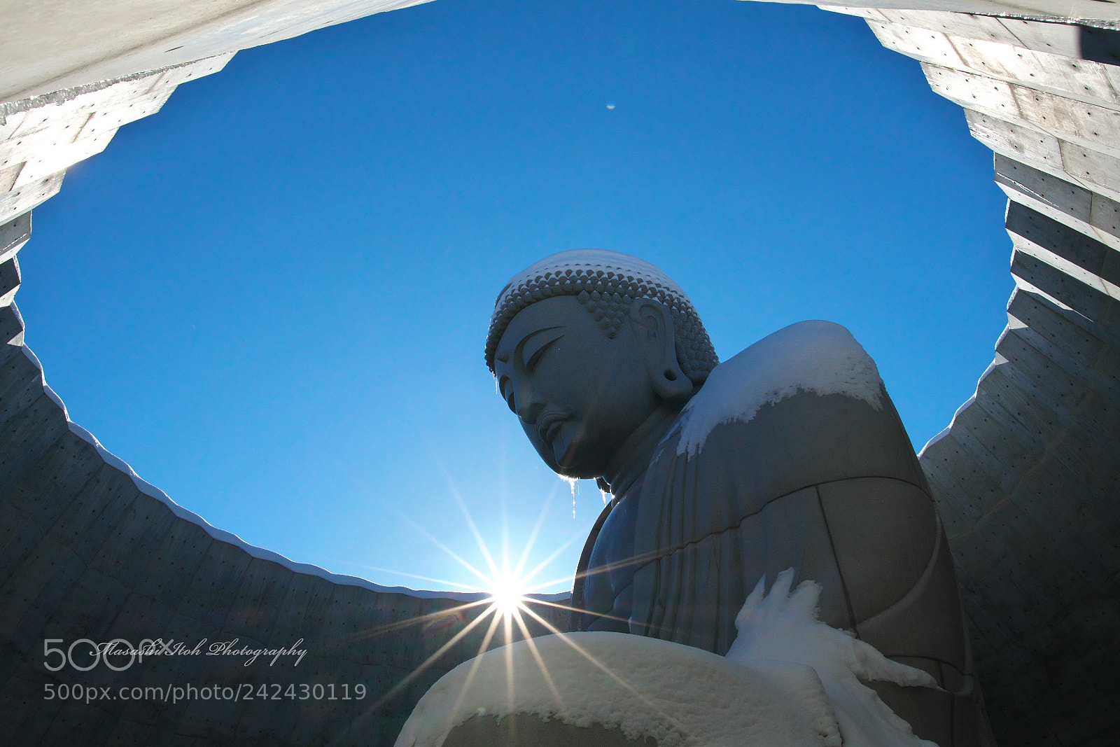 Nikon D500 sample photo. A great statue of photography