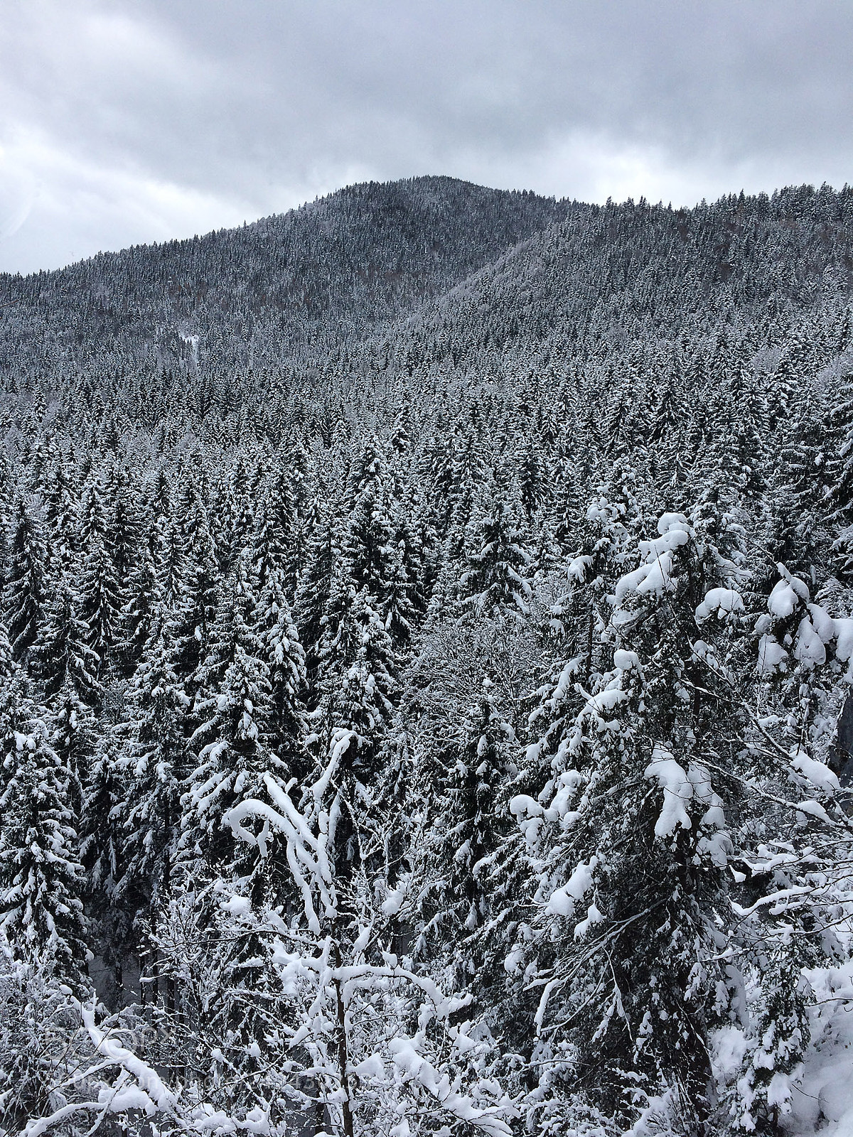 Apple iPhone 5s sample photo. Snow photography
