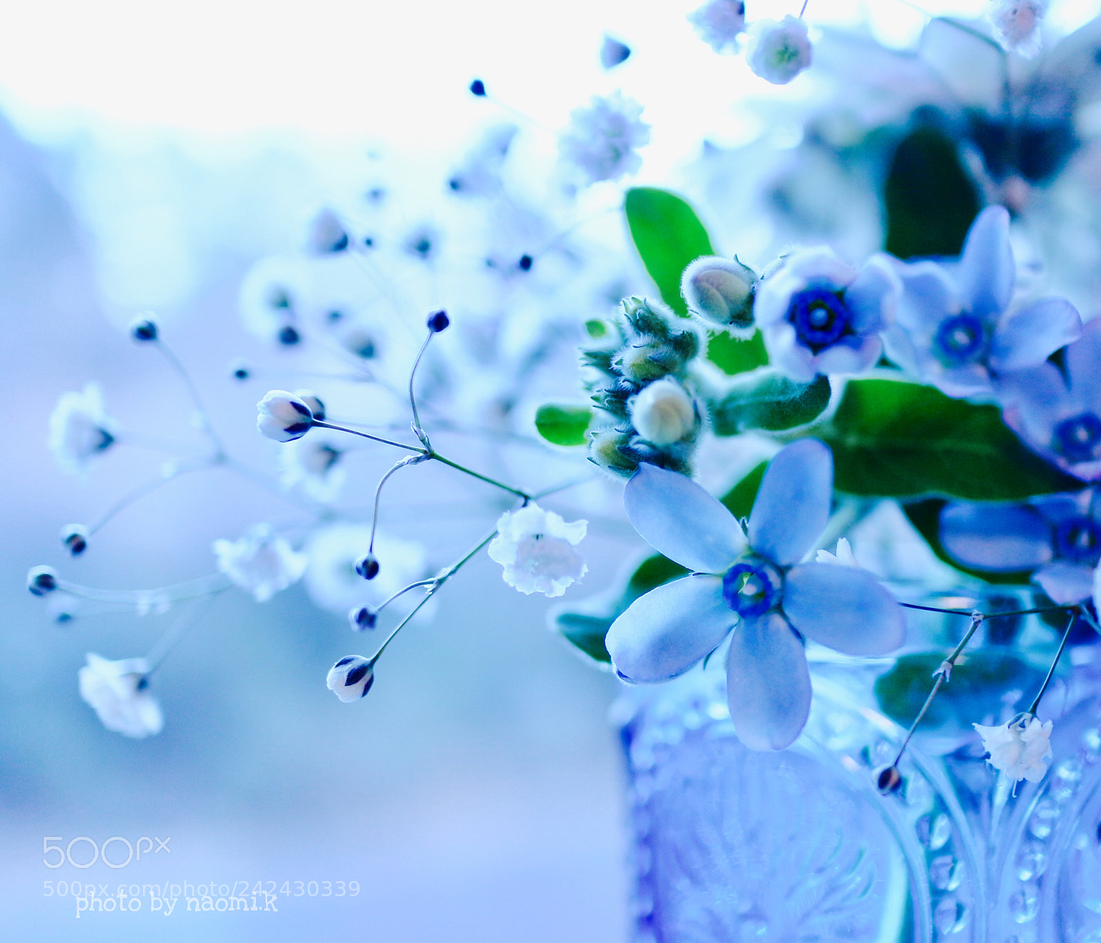 Canon EOS M10 sample photo. Blue star photography