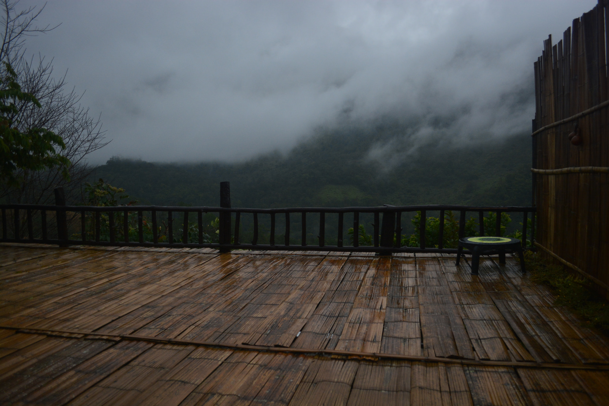 Nikon D7100 sample photo