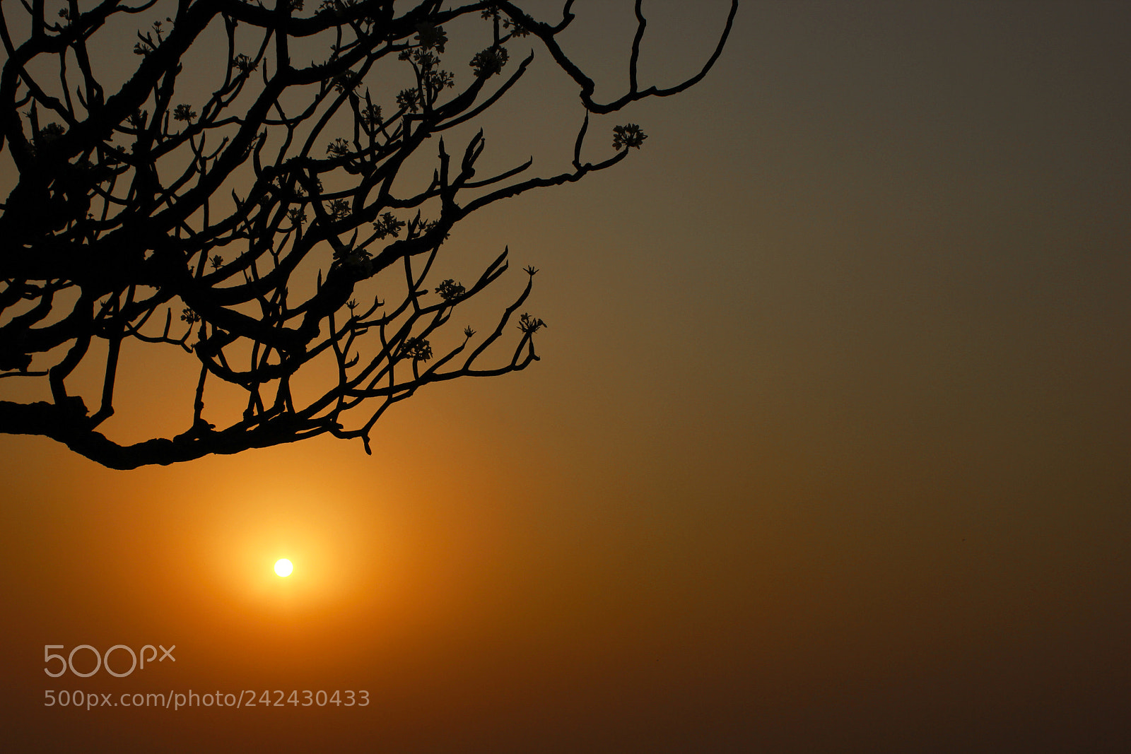 Canon EOS 550D (EOS Rebel T2i / EOS Kiss X4) sample photo. Sunset @ hampi photography