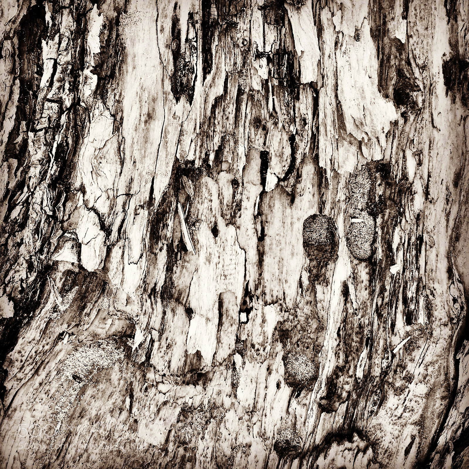 Apple iPhone 6 sample photo. Nature photography